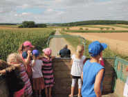 Kindergeburtstag 20.07.2015 247.gif