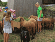 Kindergeburtstag 20.07.2015 132schafe.gif