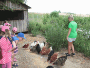 Kindergeburtstag 20.07.2015 187.gif