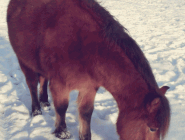 2016-01-18-16-19-46-130.gif