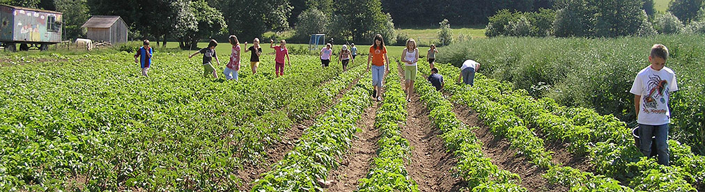 Lernort Bauernhop Angebote auf dem Stettenhof Mödingen